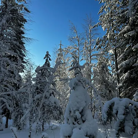 Elves Forest