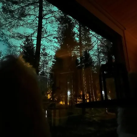 Elves Forest * Rovaniemi